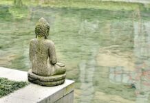 Która instalacja jest lepsza BRC czy STAG? Która instalacja jest lepsza BRC czy STAG?