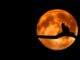 Co na Halloween w szkole? Co na Halloween w szkole?