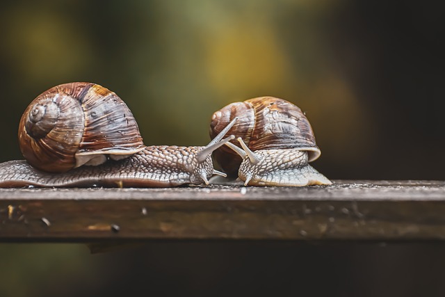 CO ile trzeba wymieniać czujnik gazu? CO ile trzeba wymieniać czujnik gazu?