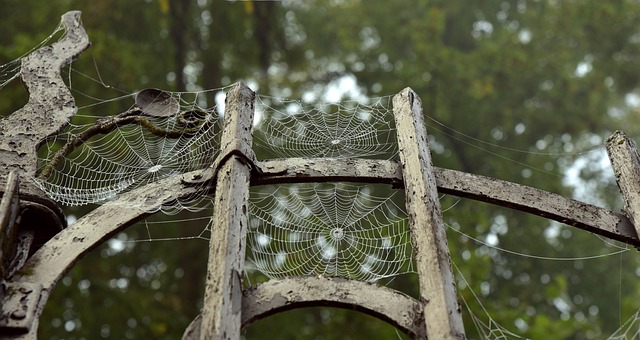 Z czego można zrobić pajęczynę na Halloween? Z czego można zrobić pajęczynę na Halloween?