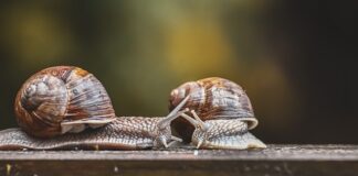 Gdzie powinien być zamontowany czujnik czadu?